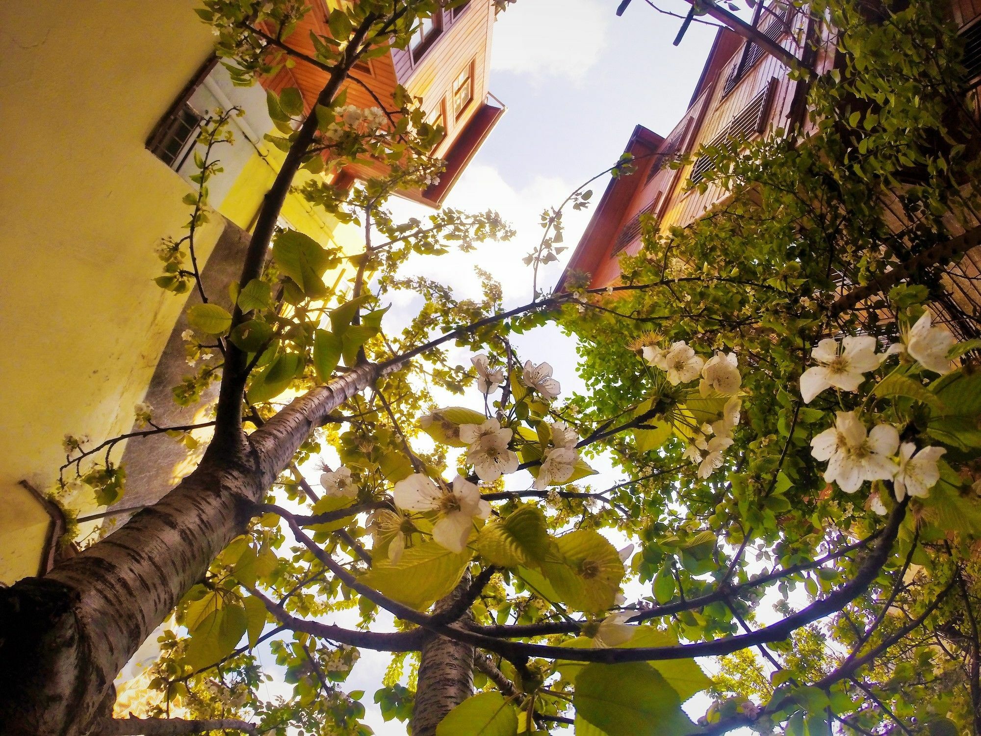 Ottoman'S Pearl Hotel Estambul Exterior foto